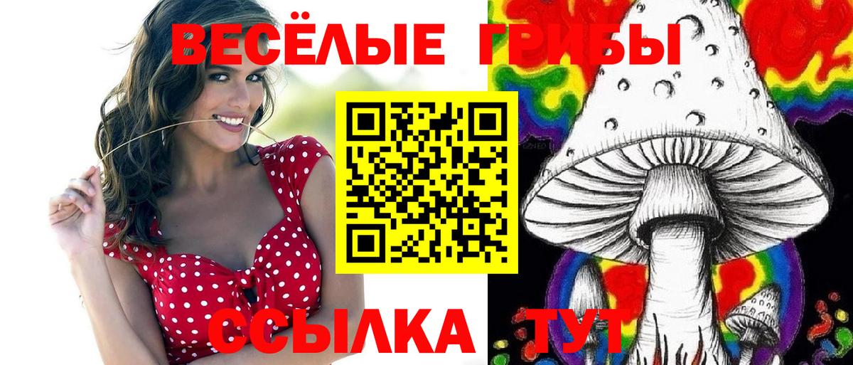 Галлюциногенные грибы Psilocybe  Псилоцибиновые грибы Magic Shrooms  Усолье-Сибирское  Вход с VPN 