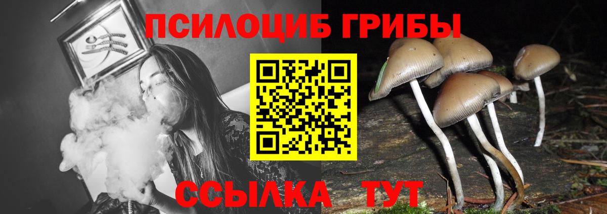 Галлюциногенные грибы мицелий Усолье-Сибирское